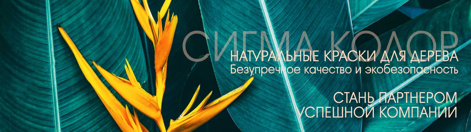 Изображение 11 | SigmaColor